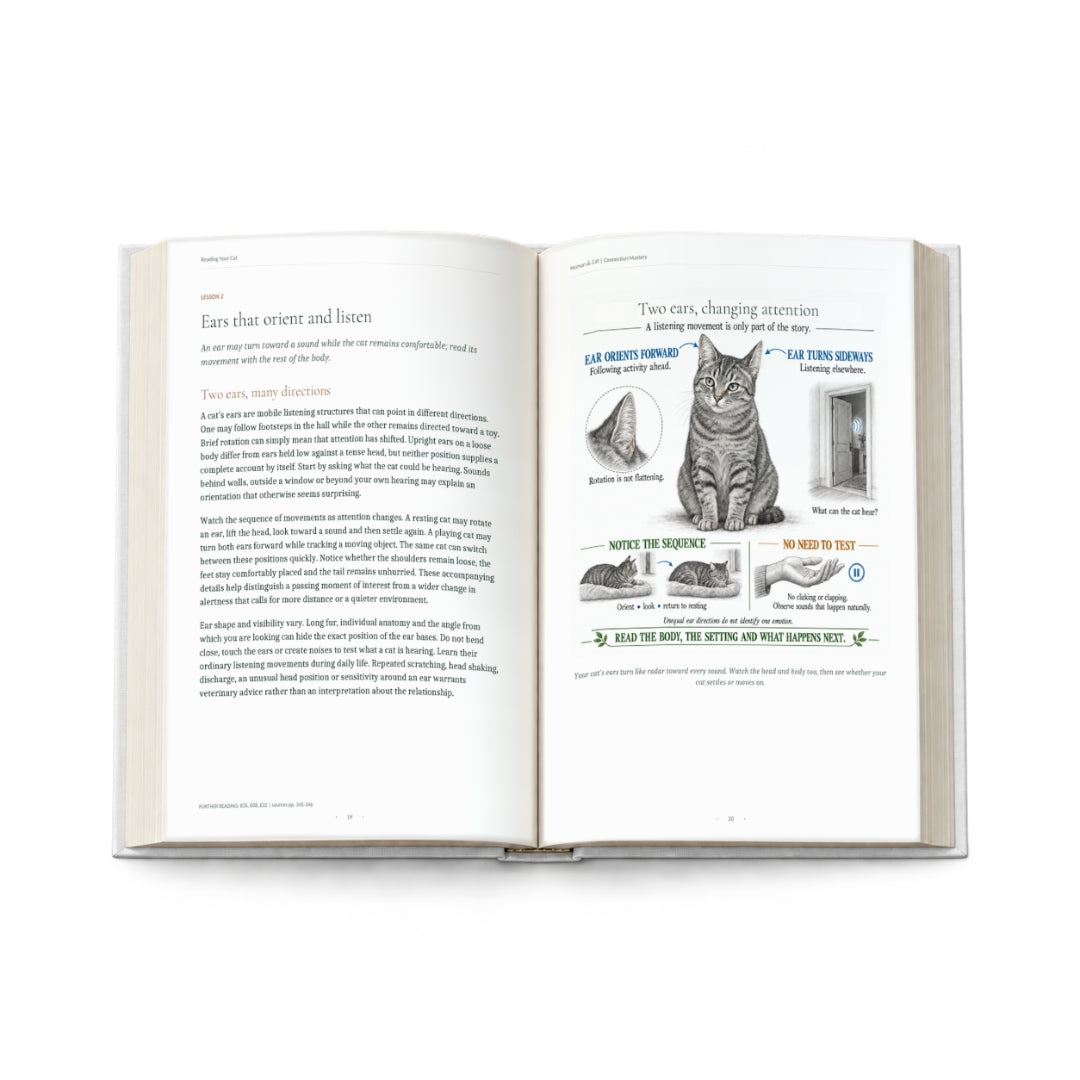 The Human & Cat Connection Mastery Handbook