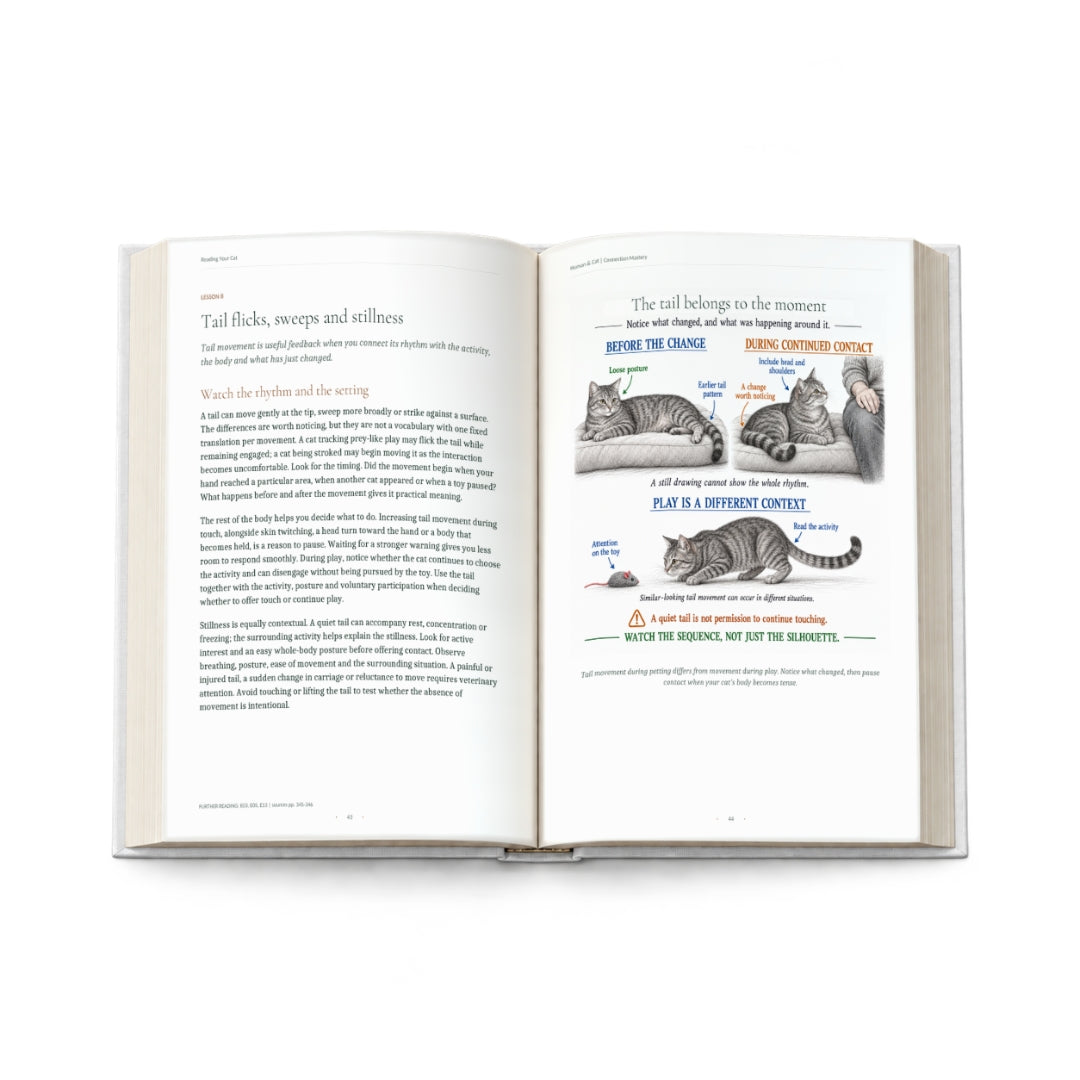The Human & Cat Connection Mastery Handbook