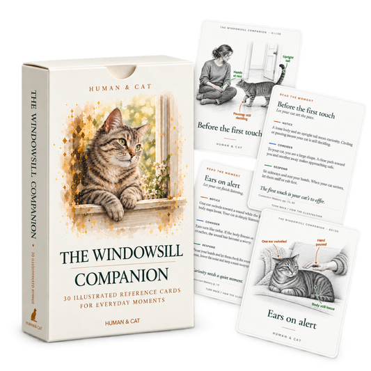 The Windowsill Companion